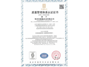 ISO9001中文