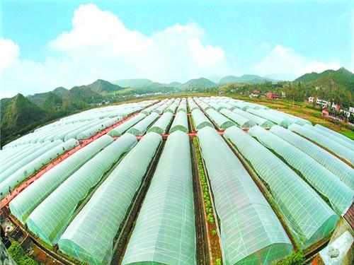 空气能热泵如何给植物养殖创造环境？