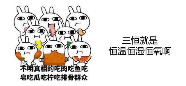 家装三恒系统品牌有哪些？