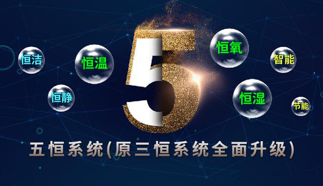 五恒系统的发展受哪些因素影响？